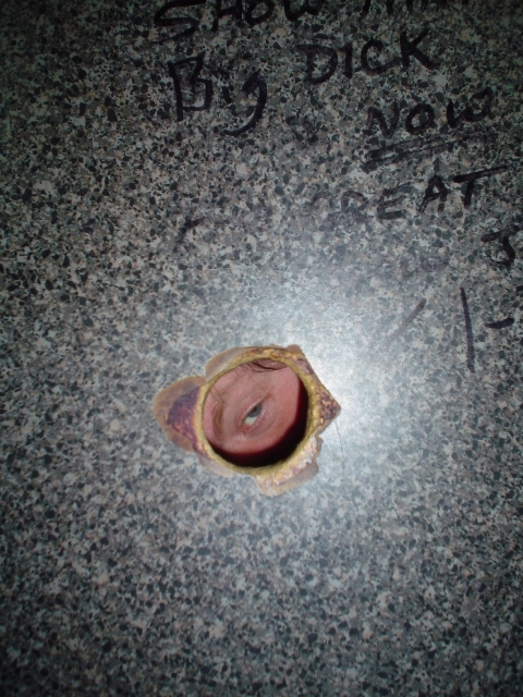 Is that a glory hole? 